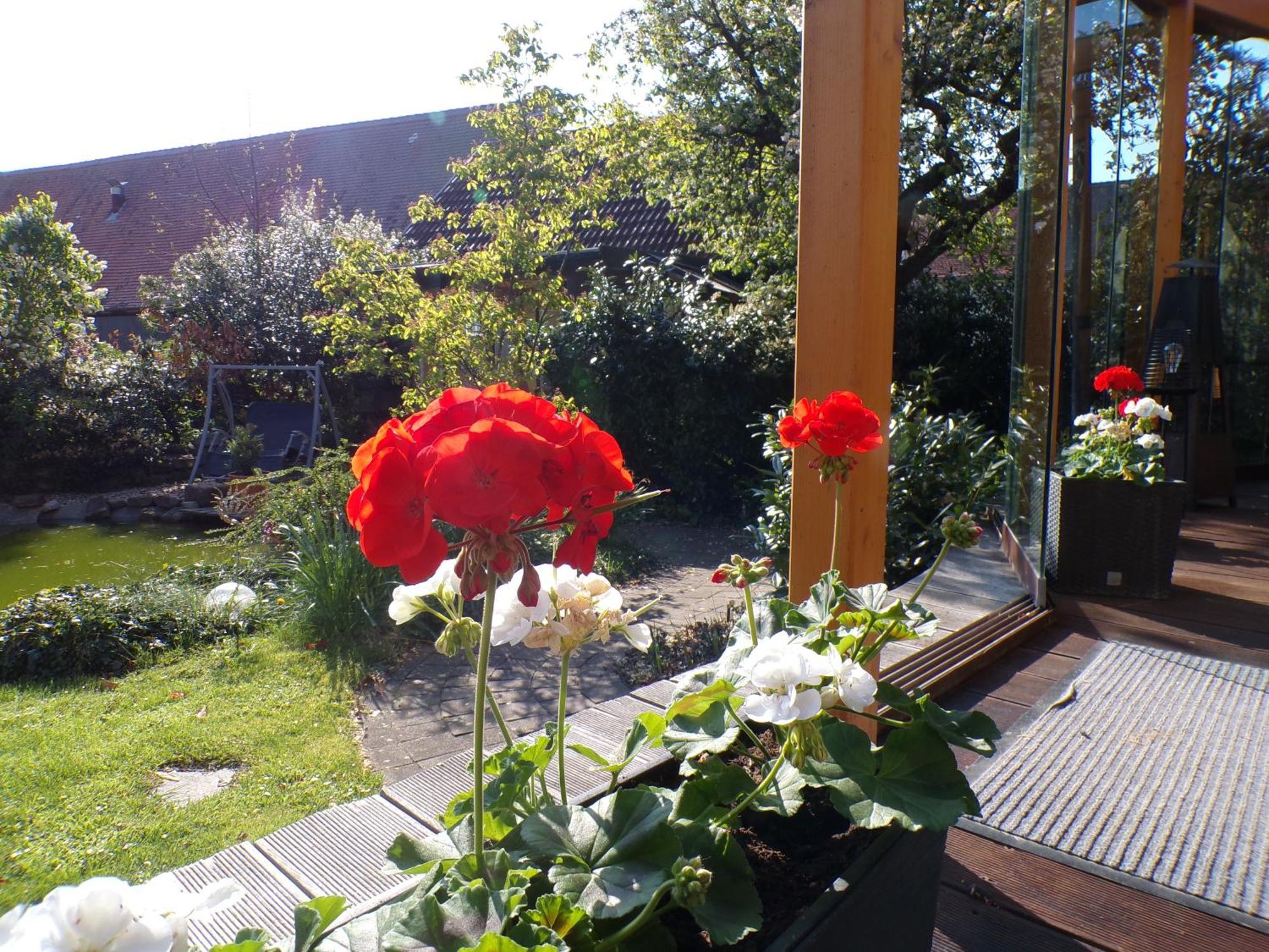 Mondfaenger Ferienwohnung , Naehe Playmobil Funpark Und Messezentrum Wilhermsdorf  외부 사진